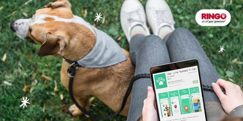 Perros y tecnologia